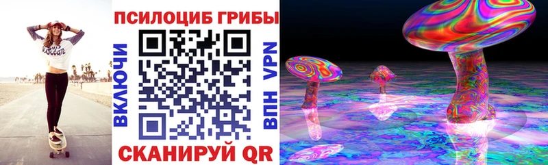 что такое наркотик  Заозёрный  Галлюциногенные грибы MAGIC MUSHROOMS 
